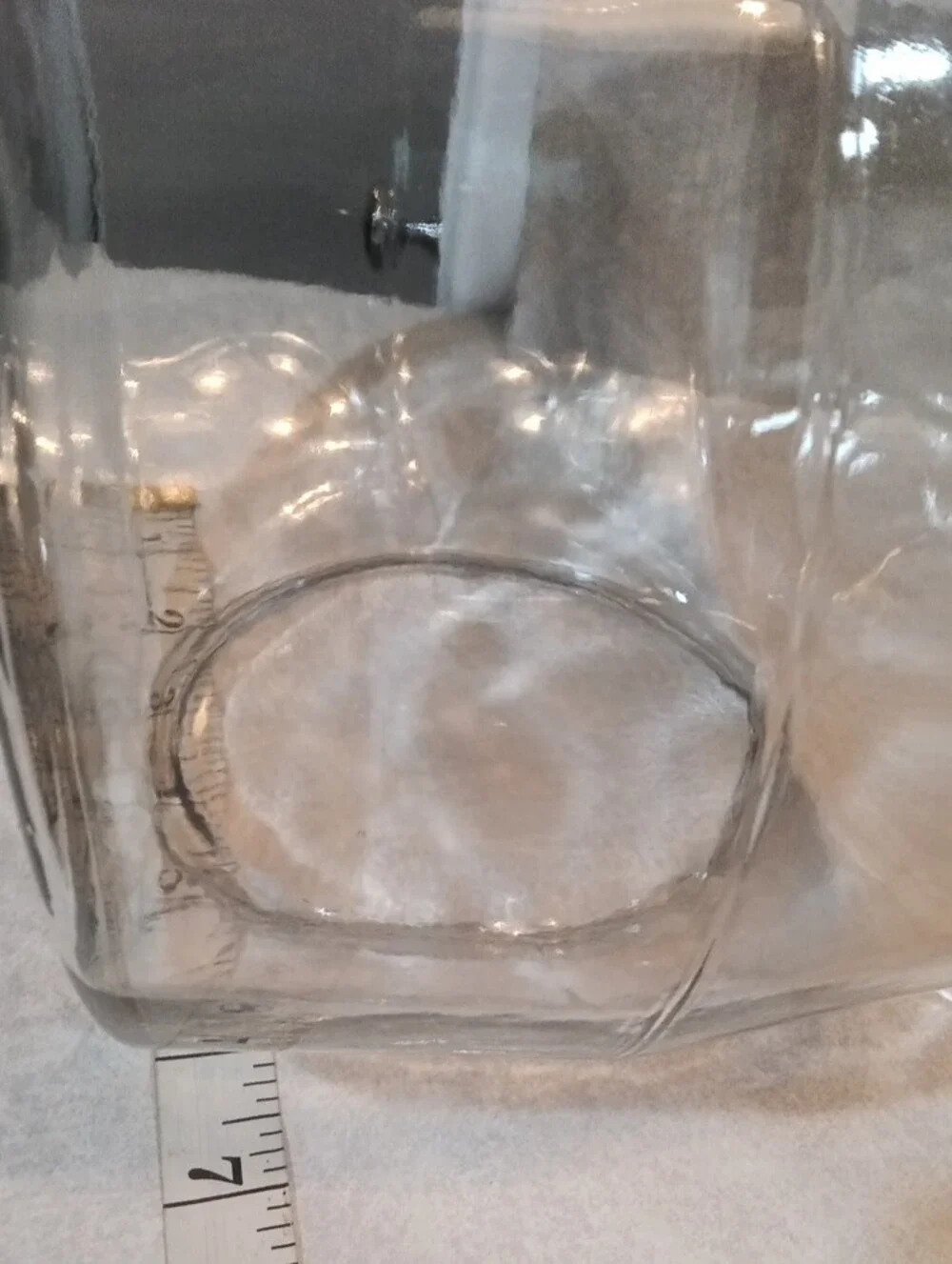 Clear Glass Round Fishbowl Vase - Transparent Home Accent